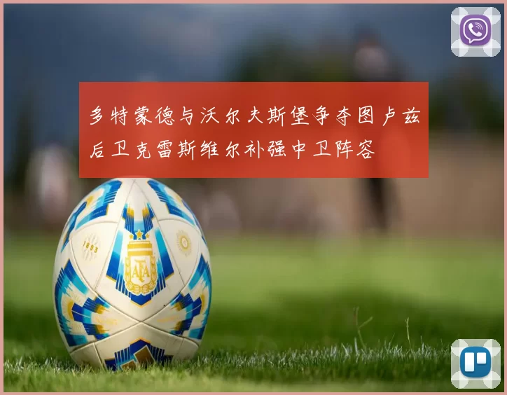 多特蒙德与沃尔夫斯堡争夺图卢兹后卫克雷斯维尔补强中卫阵容
